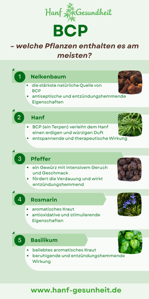 Pflanzen mit dem höchsten BCP-Gehalt